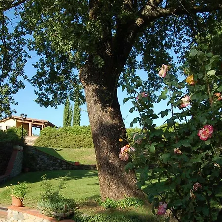 Il Palazzo Country house